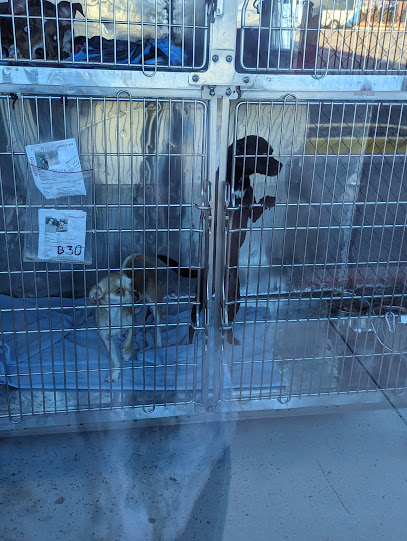 El Paso Animal Services Center