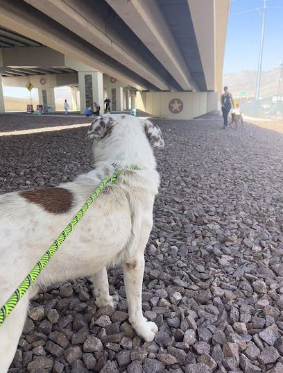 City Of El Paso Animal Services