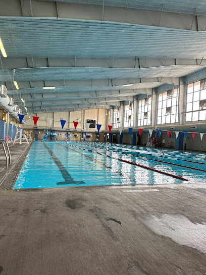Replica Aquatic Center