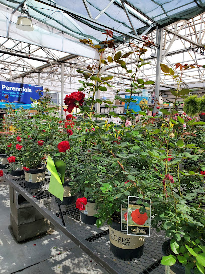 Lowe's Garden Center