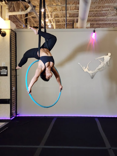 Academy of Aerial Fitness