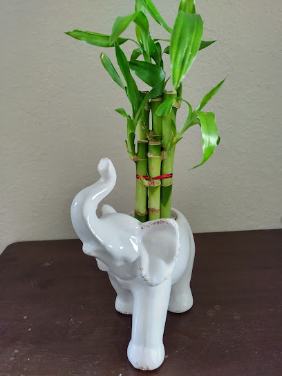 Dragon's Garden LLC